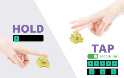 AKKO TAC75 HE – Clavier Magnétique Gaming 75% Haute Précision