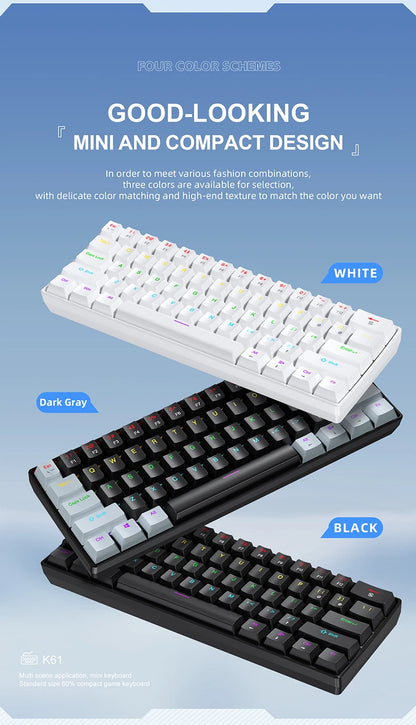 Clavier Mécanique RGB 61 Touches – APAYADO K61