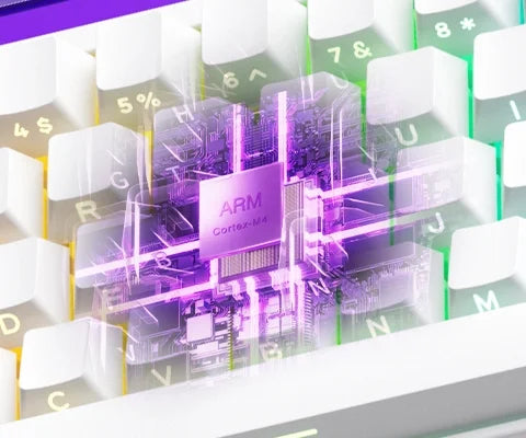 Veekos Shine60 HE – Clavier Magnétique Gaming RGB Tri-Mode (Wired / Wireless / Bluetooth)