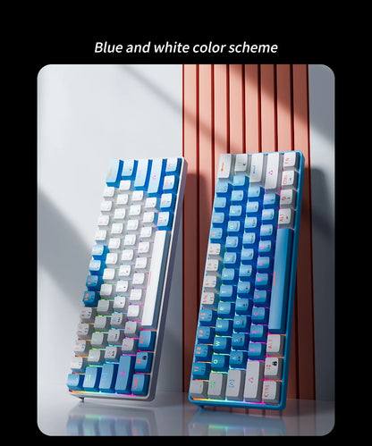 Clavier Mécanique RGB Compact 60 % – MUCAI
