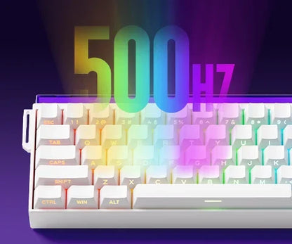 Veekos Shine60 HE – Clavier Magnétique Gaming RGB Tri-Mode (Wired / Wireless / Bluetooth)