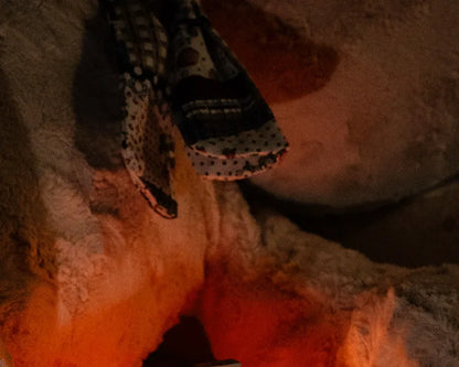 Lampe de Nuit Renard Minecraft - Veilleuse LED Orange Officielle pour Chambre Gaming et Enfant